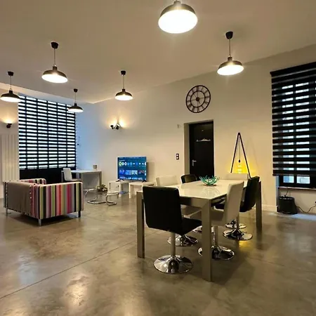 Loft Industriel En Centre *