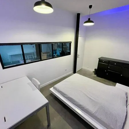 Loft Industriel En Centre