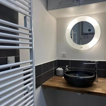 Daire Loft Industriel En Centre *